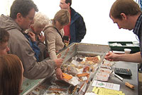 Stondin Deri Môn mewn marchnad leol