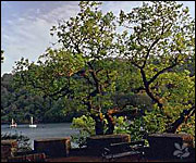 The gardens overlook the River Dart