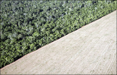 Một vùng rừng Amazon bị phá