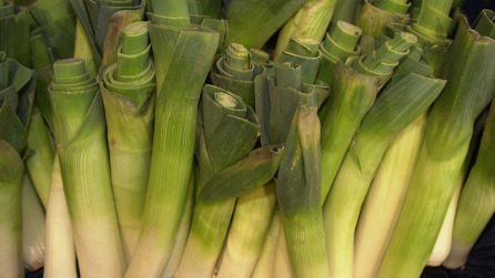 Short Stack of American Style Pancakes
