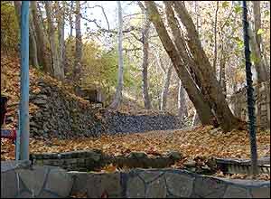 عکس از عليرضا پناهی