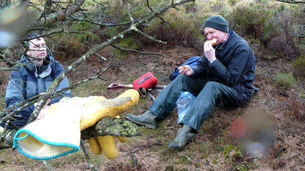 People eating and a glove draped on tree branch