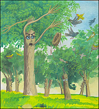 اکاسی مغرور پرنده ها را از خود می راند.