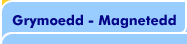 Grymoedd - Magnetedd