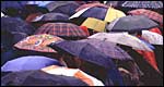 Umbrellas