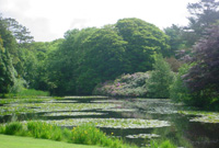 Llyn yng Ngharreglwyd