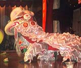 lion dancer