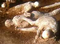 Photograph showing casts of victims of the eruption in 79 A.D. found in the Insula I-22