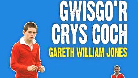 Rhan o glawr y llyfr