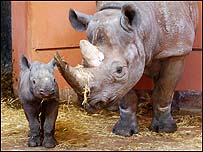 Sita keeps a close eye on Zuri