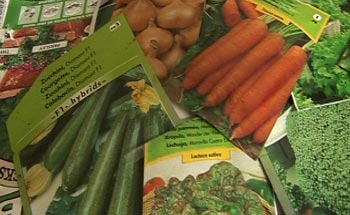 The seeds Valerie has planted in her greenhouse