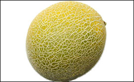 Melon