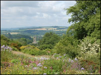 德文郡野外环境