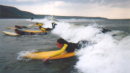 Learning to surf. Image by WSF surf school
