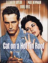 پوستر فیلم گربه روی شیروانی داغ