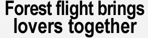 Forest flight brings lovers together