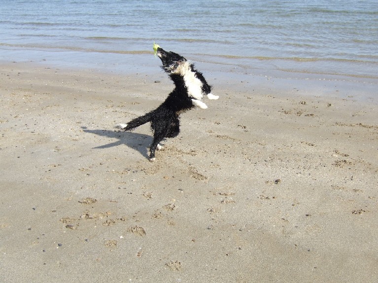 Twisting by the sea!