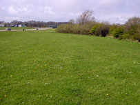 Donmouth Local Nature Reserve