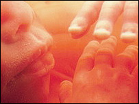 ماں کے پیٹ میں بچہ