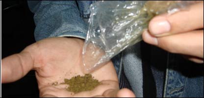 يو تن د نصوار اچولو پر مهال