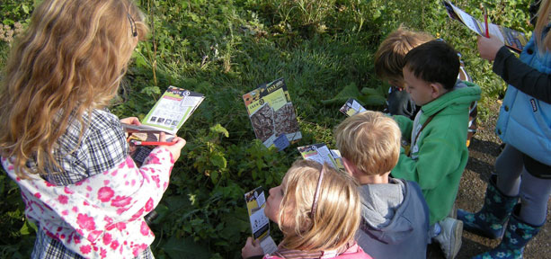 DSI - Deadly Scene Investigation