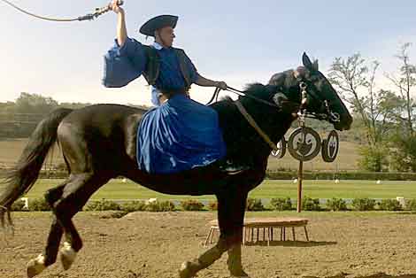 A Hungarian wrangler