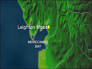 Leighton Moss map