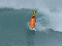 A surfing carrot