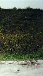 Lochnagar Crater today