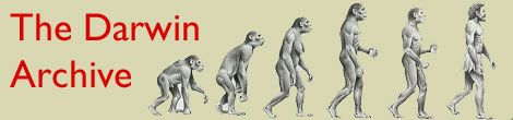 The Darwin archive banner