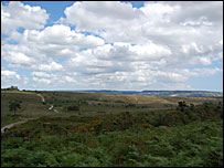 A view rfom Woodbury Common