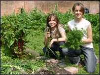 Priestlands School's walled garden