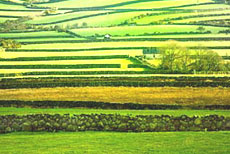 Irish countryside