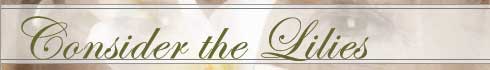 Consider the Lilies