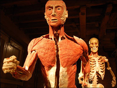 relay runners at Body Worlds 4