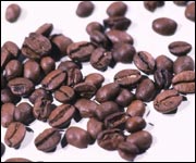 coffee beans