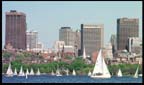 The Boston Skyline
