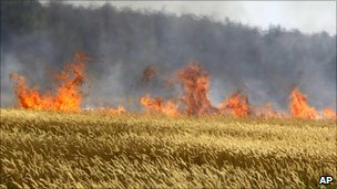 Cropfire.jpg