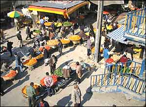 عليرضا صمدی