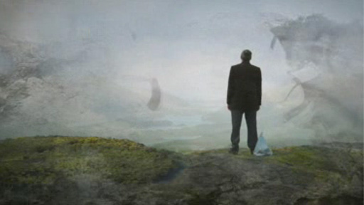 Little Blue Flower, by Patsy O'Hara