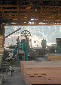 Sawmill in Amazon region