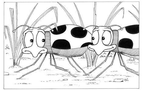 Illustration from This is Our World