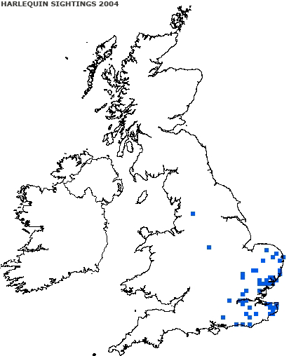 harlequin_sighting_2004.gif