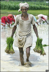 Nông dân Ấn Độ