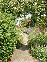 The arch in the garden