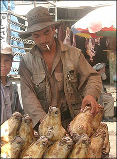 کله پز کابلی