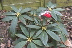 Wendie gets a card from abroad