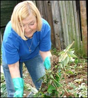 Clearing the alleyways