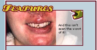 Trudy Malaney's crash