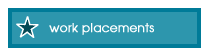 Work Placements